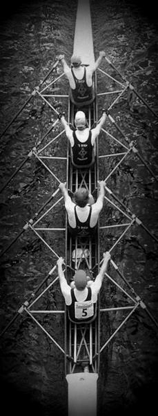 cottwich2014-hv4-001